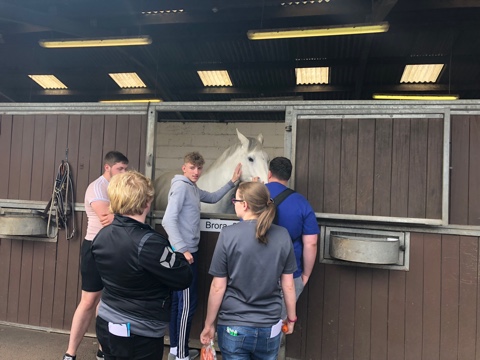 Uniformed Services Work Experience.white horse.jpg (1)